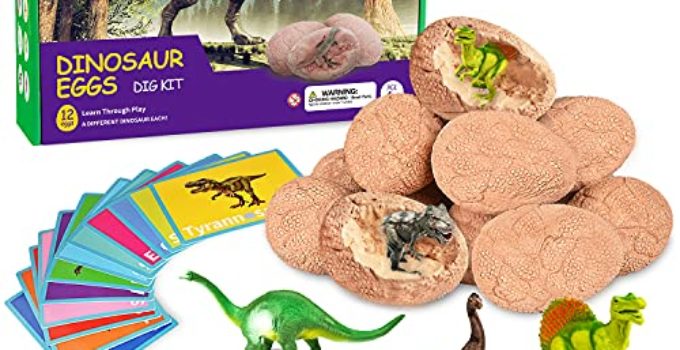 Dig Up Dinosaur Fossil Eggs, Break Open 12 Unique Dinosaur Fossil Eggs and Discover 12 Cute Dinosaurs, Funny Dinosaur Digging Toy for 3 4 5 6 7 8 9-12 Year Old Boys Archaeology Science STEM Gift